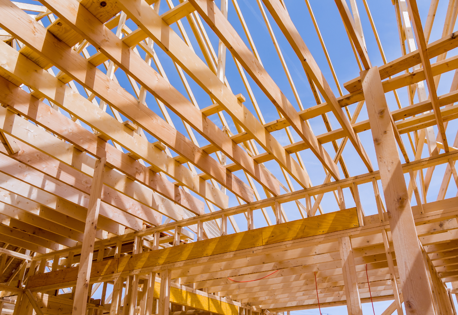 Structural timber