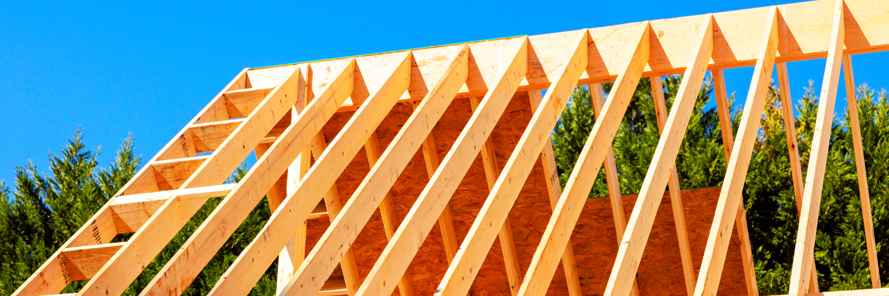 Structural Timber (C16 / C24)