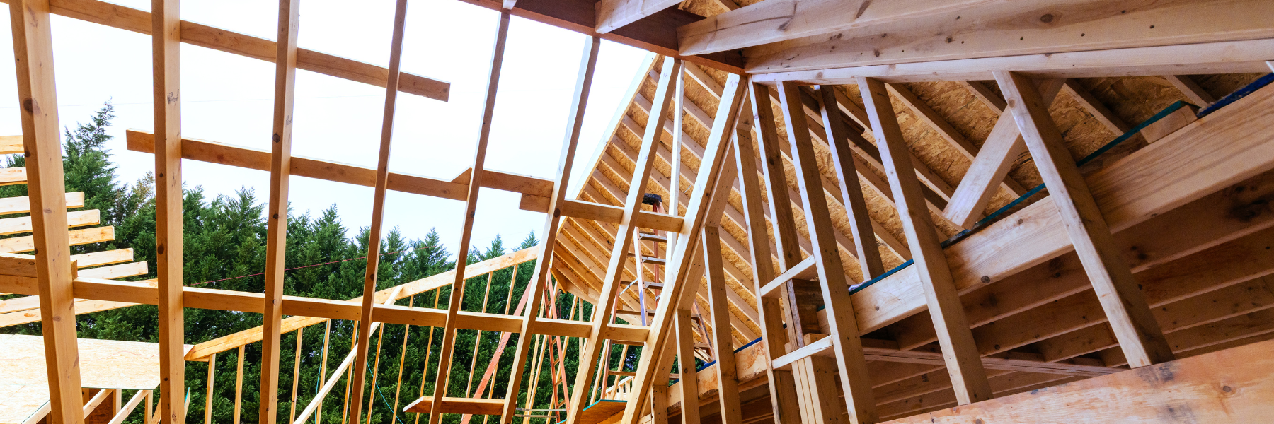 CLS Timber & Studwork
